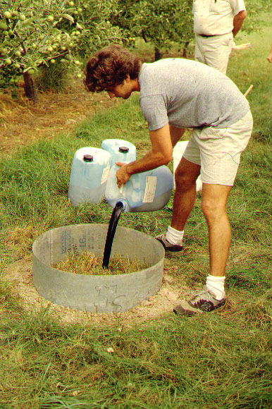 Pouring blue dye