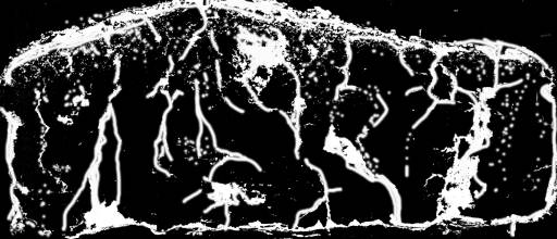 Various coloured vegetables dyes or fluorescent dyes may be useful in identifying soil macroporosity.